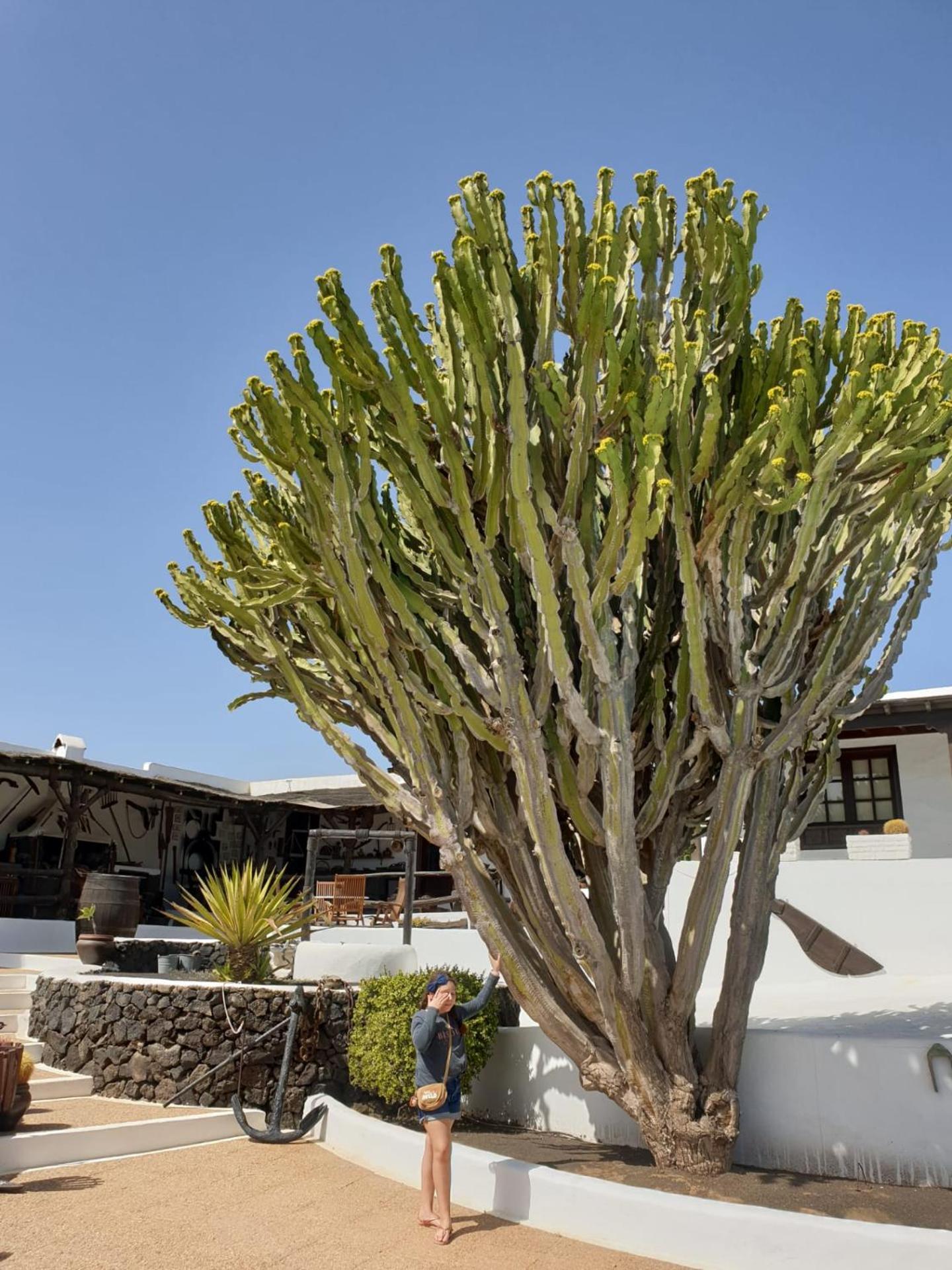 Casa Berriel 2 Villa Tias Luaran gambar